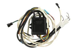 Устройство импульсное с иглами поджига и контроля пламени EDISSON S